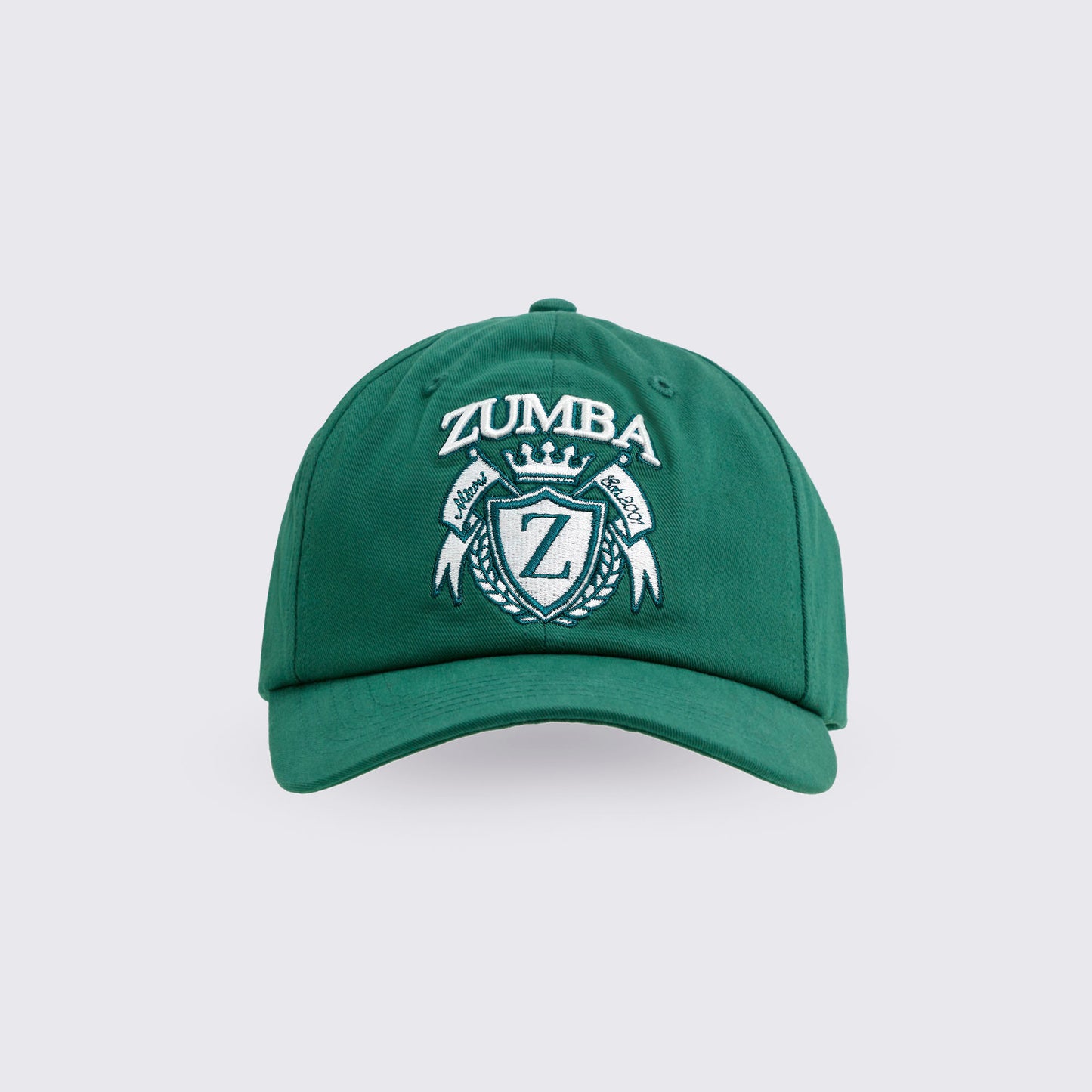 Class of 2001 Dad Hat Z3A000279