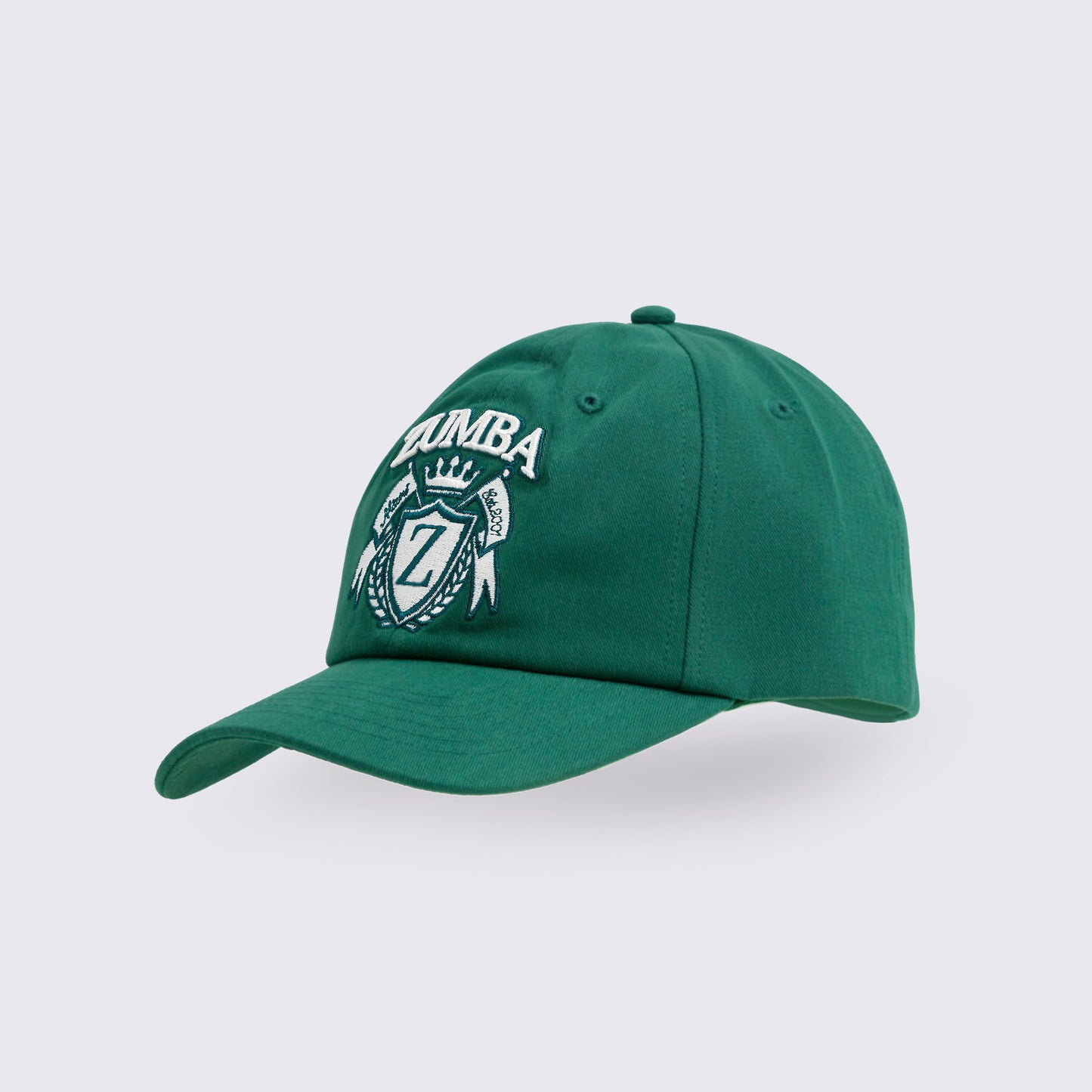 Class of 2001 Dad Hat Z3A000279