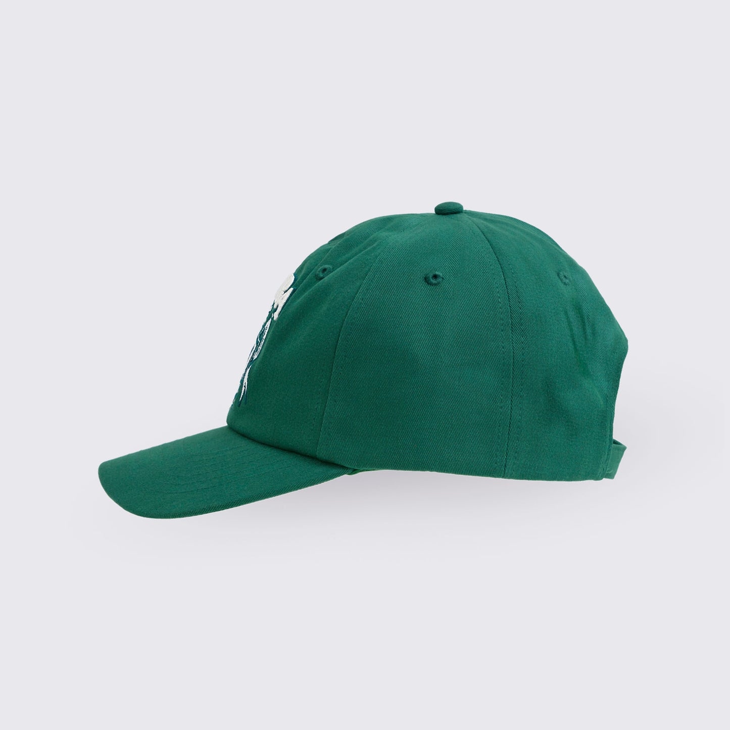 Class of 2001 Dad Hat Z3A000279