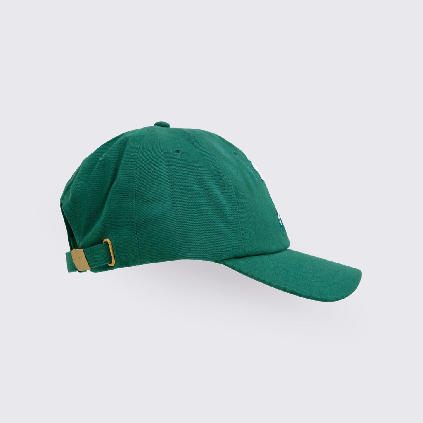 Class of 2001 Dad Hat Z3A000279