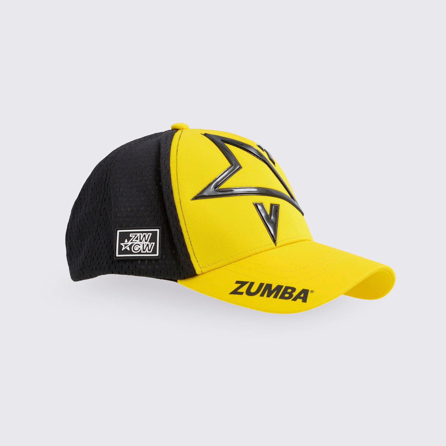 ZW Curved Brim Mesh Cap Z3A000297